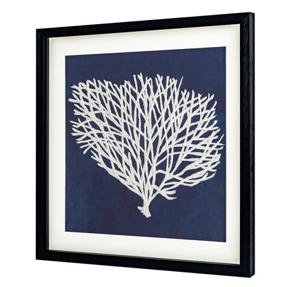 Sea Fan II Black Shadowbox Textual Art Wall Art HomeRoots