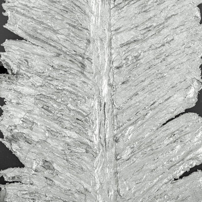 Metallic Feather Silver Shadowbox Textual Art Wall Art HomeRoots