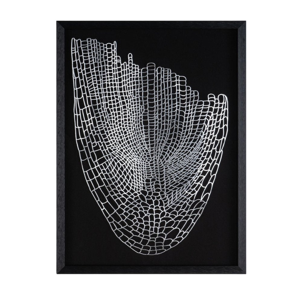 Wild Badlands Black Shadowbox Textual Art Wall Art HomeRoots