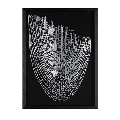 Wild Badlands Black Shadowbox Textual Art Wall Art HomeRoots