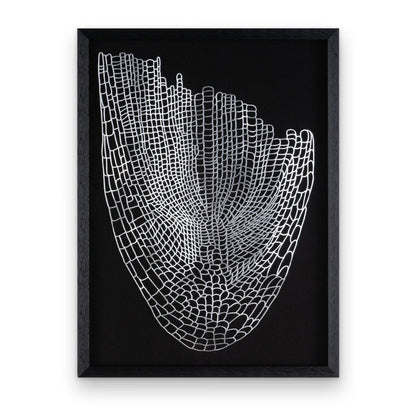 Wild Badlands Black Shadowbox Textual Art Wall Art HomeRoots