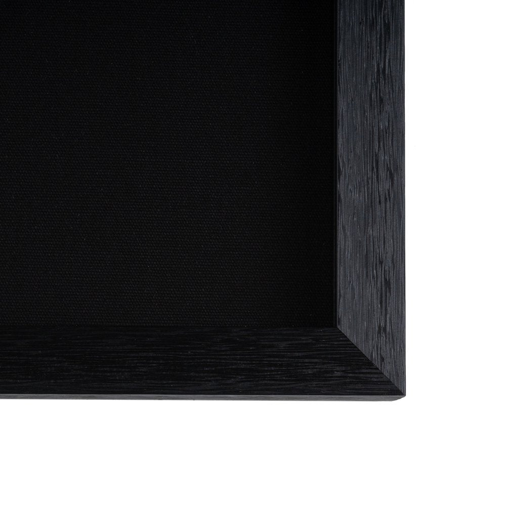 Wild Badlands Black Shadowbox Textual Art Wall Art HomeRoots