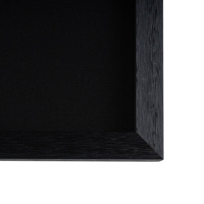 Wild Badlands Black Shadowbox Textual Art Wall Art HomeRoots