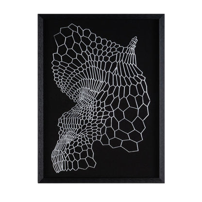 Wild Badlands Black Shadowbox Textual Art Wall Art HomeRoots