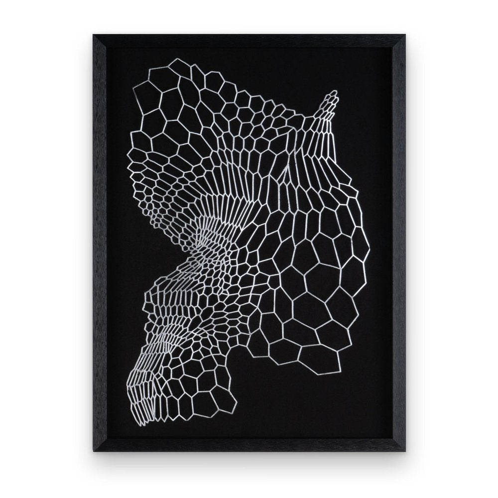 Wild Badlands Black Shadowbox Textual Art Wall Art — view 2