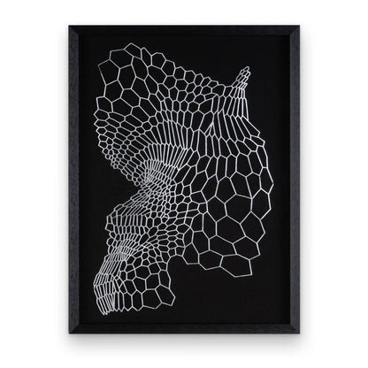 Wild Badlands Black Shadowbox Textual Art Wall Art HomeRoots