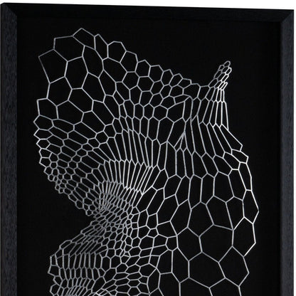 Wild Badlands Black Shadowbox Textual Art Wall Art HomeRoots