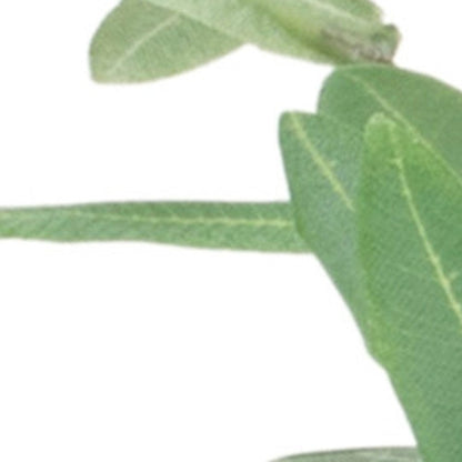 6" Green Artificial Olive Tree