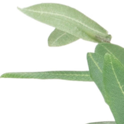 6" Green Artificial Olive Tree