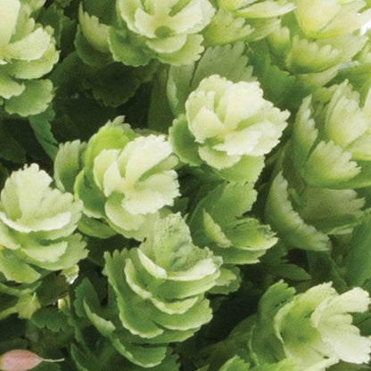 Set of Two 7" Green Artificial