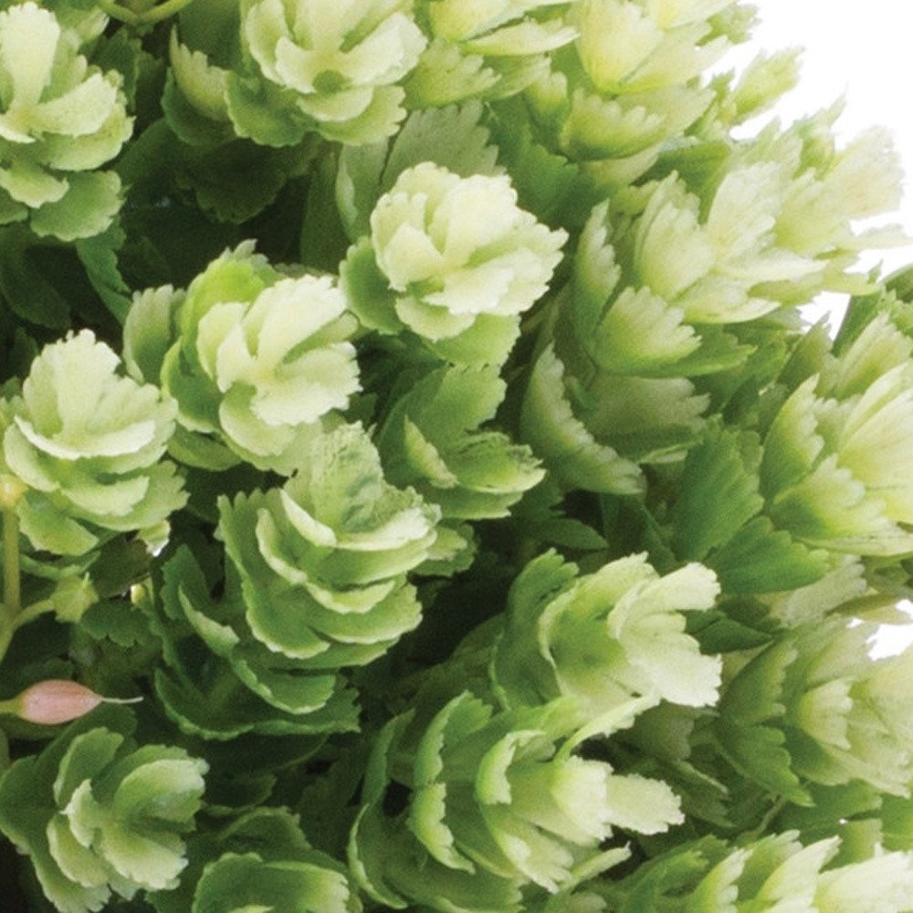 Set of Two 7" Green Artificial