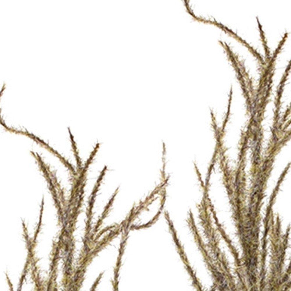 Set of Four 31" Brown Artificial Pampas Tree