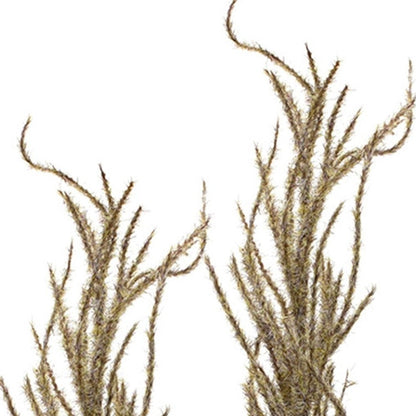 Set of Four 31" Brown Artificial Pampas Tree
