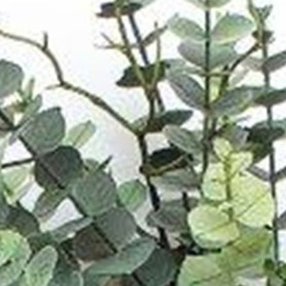 29" Green Artificial Eucalyptus Tree