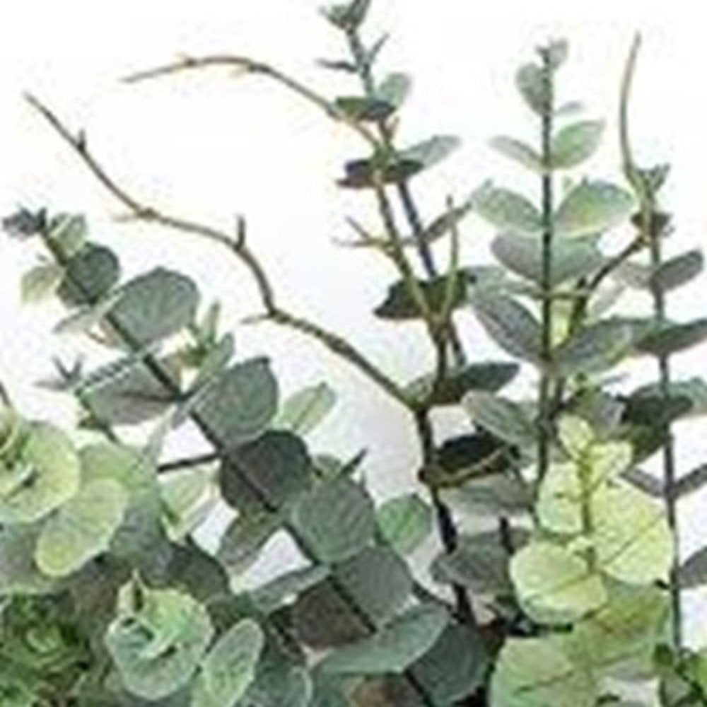 29" Green Artificial Eucalyptus Tree