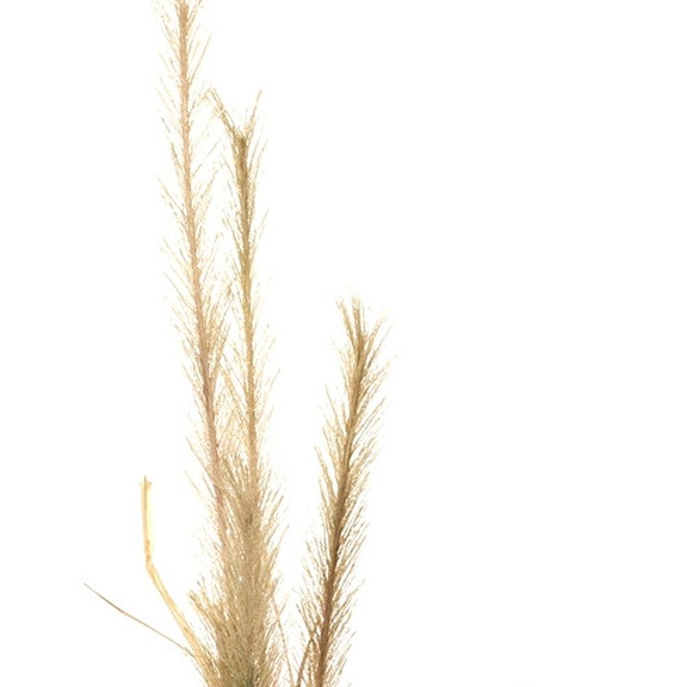 Set of Two 47" Brown Artificial