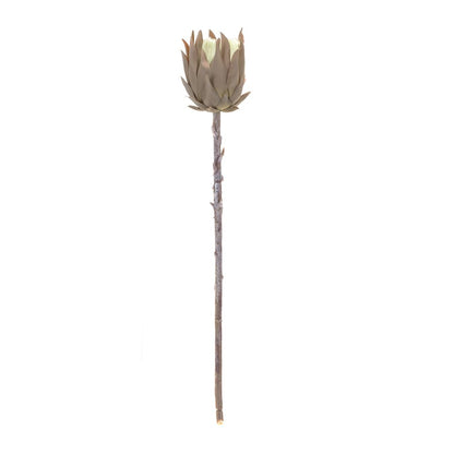 Set of Six 20" Brown Artificial
