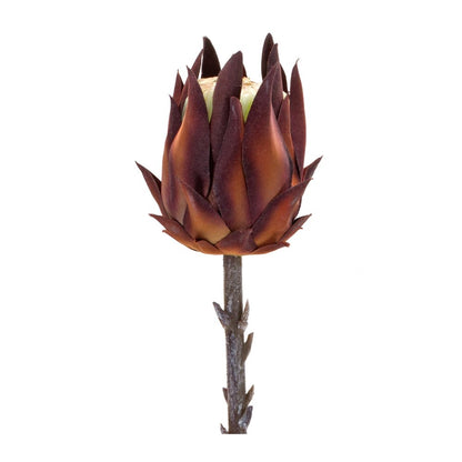 Set of Six 20" Orange Artificial