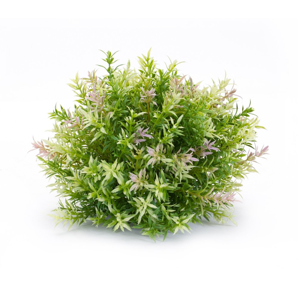 Set of Six 8" Green Artificial