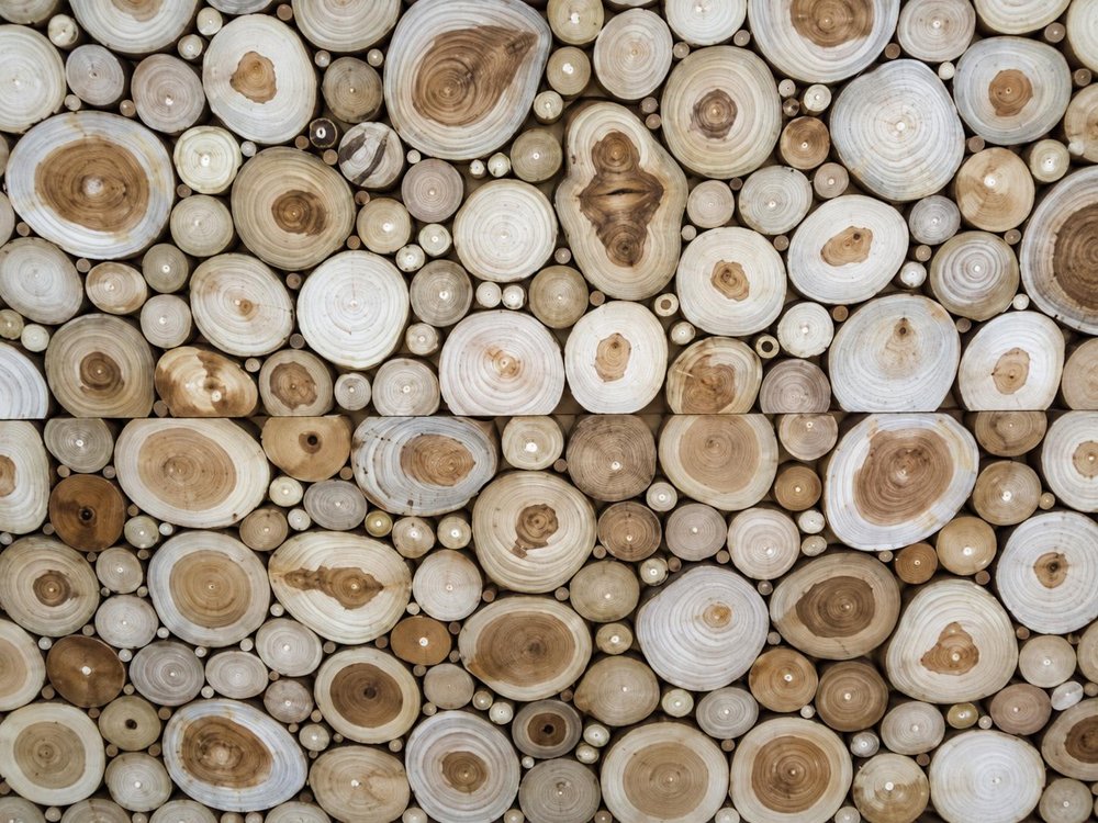 Natural Tree Stump Slice Teak Reclaimed Wood Decorative Wall Panels — view 11