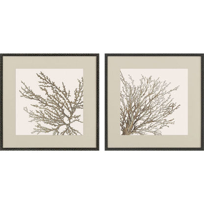 Set Of Two Taupe Coral Black Framed Wall Art HomeRoots