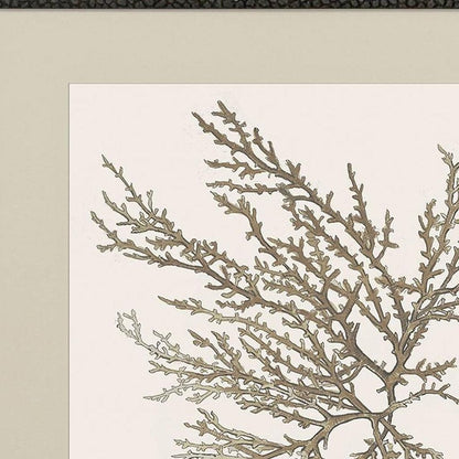 Set Of Two Taupe Coral Black Framed Wall Art HomeRoots