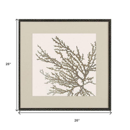 Set Of Two Taupe Coral Black Framed Wall Art HomeRoots