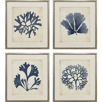 Set Of Four Indigo Sea Life Silver Framed Wall Art HomeRoots