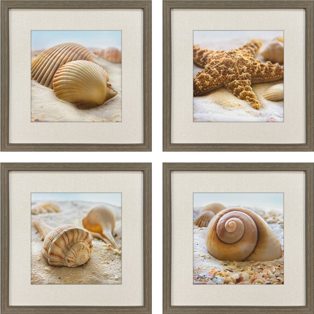 Set Of Four Beachy Shells Brown Framed Wall Art HomeRoots