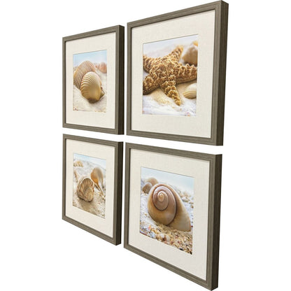 Set Of Four Beachy Shells Brown Framed Wall Art HomeRoots