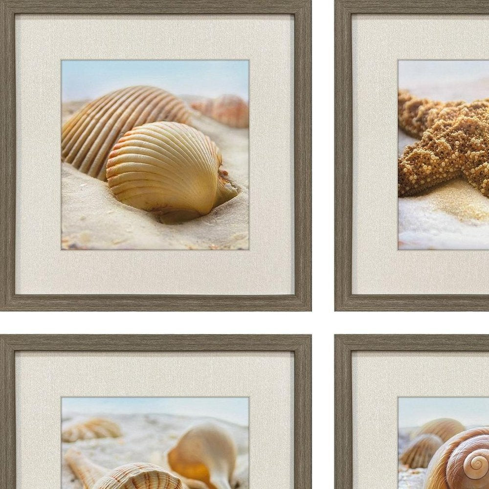 Set Of Four Beachy Shells Brown Framed Wall Art HomeRoots