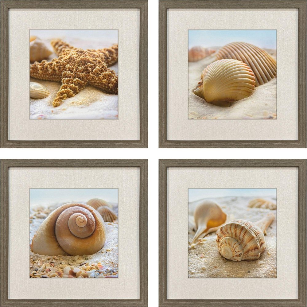 Set Of Four Beachy Shells Brown Framed Wall Art HomeRoots