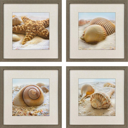 Set Of Four Beachy Shells Brown Framed Wall Art HomeRoots