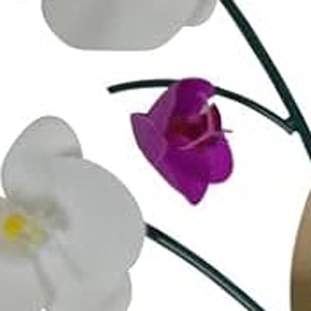 30" Purple White And Gold Metal Silent Analog Floral Novelty Wall Clock HomeRoots