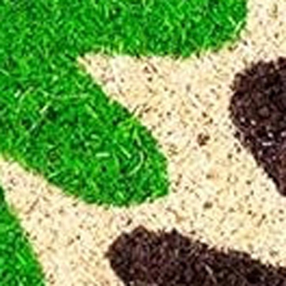 17" X 29" Natural Blue Green And Orange  Floral Outdoor Coir Door Mat HomeRoots