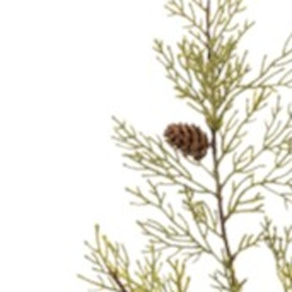 Set of Six 28" Green And Brown Artificial Pine Tree