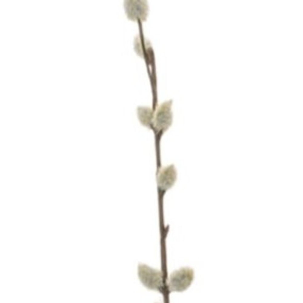Set of Six 2" White And Brown Artificial