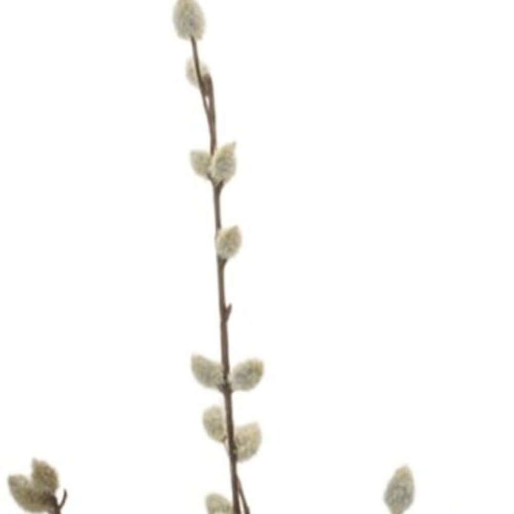 Set of Six 2" White And Brown Artificial