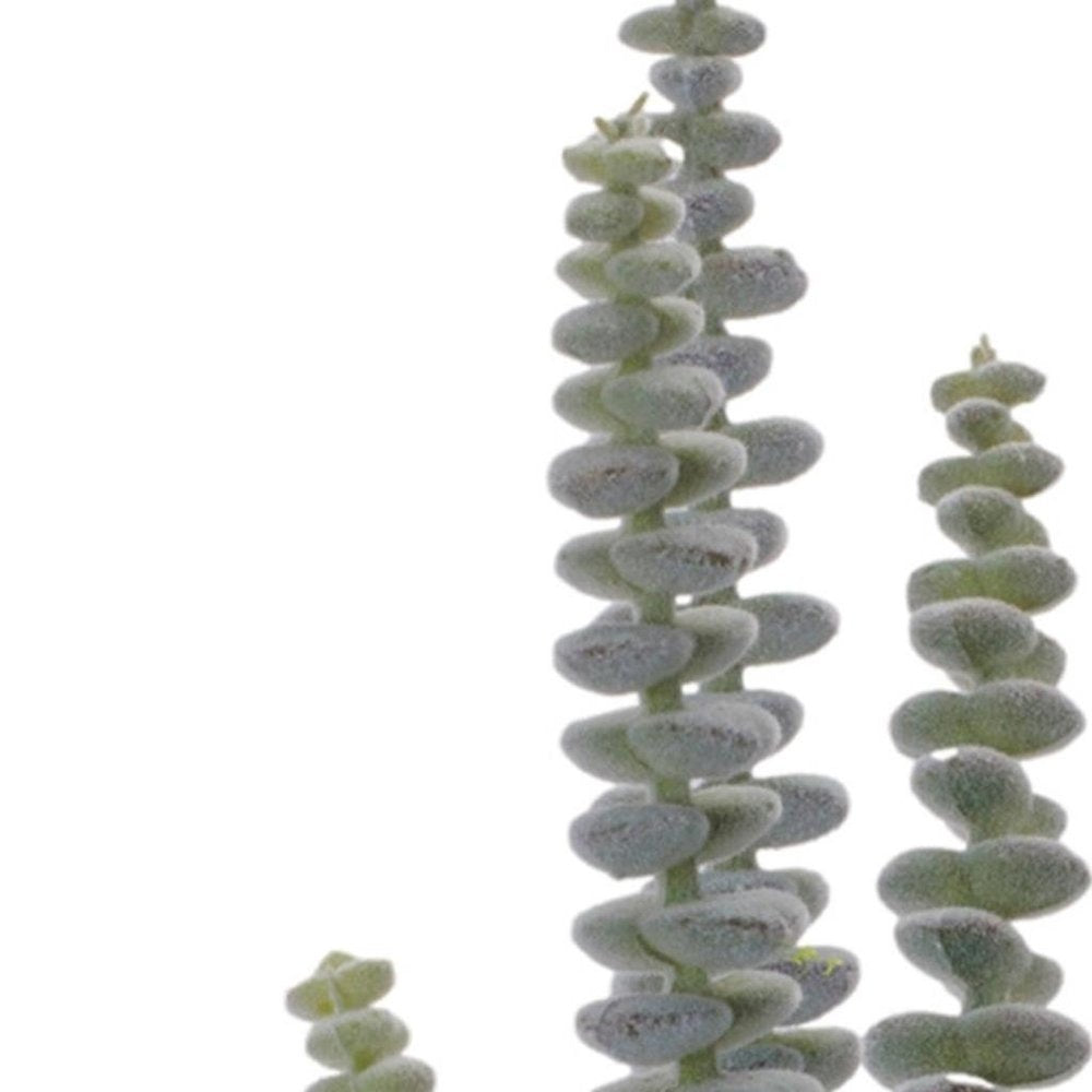 Set of Six 3" Green And Brown Artificial Succulent Tree