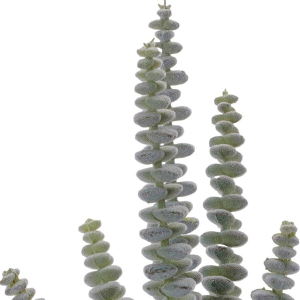Set of Six 3" Green And Brown Artificial Succulent Tree