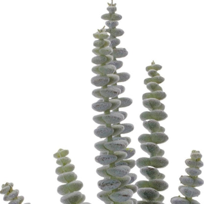 Set of Six 3" Green And Brown Artificial Succulent Tree