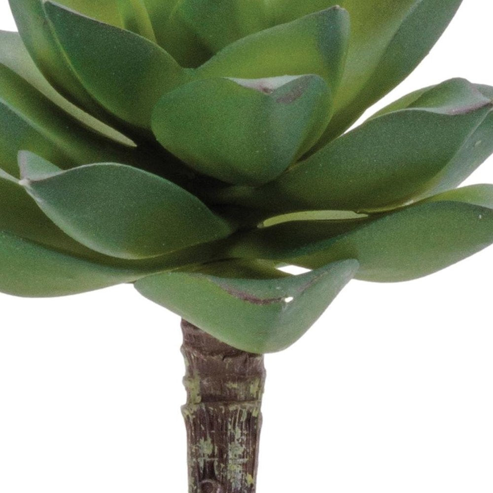 12 3" Green And Brown Artificial Succulent Tree