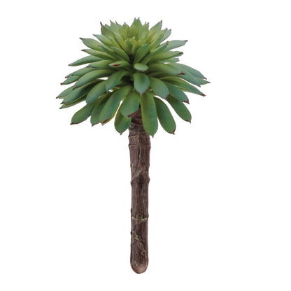 12 2" Green And Brown Artificial Succulent Tree