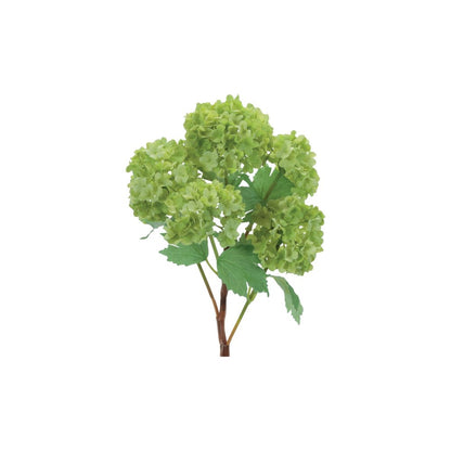 Set of Two 5" Green And Brown Artificial