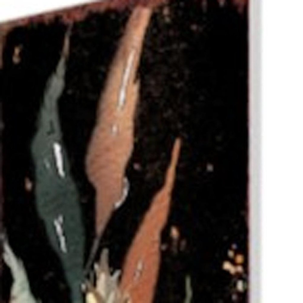 42" Black Tan And Orange Solid Wood Squirrels Garden Stake HomeRoots