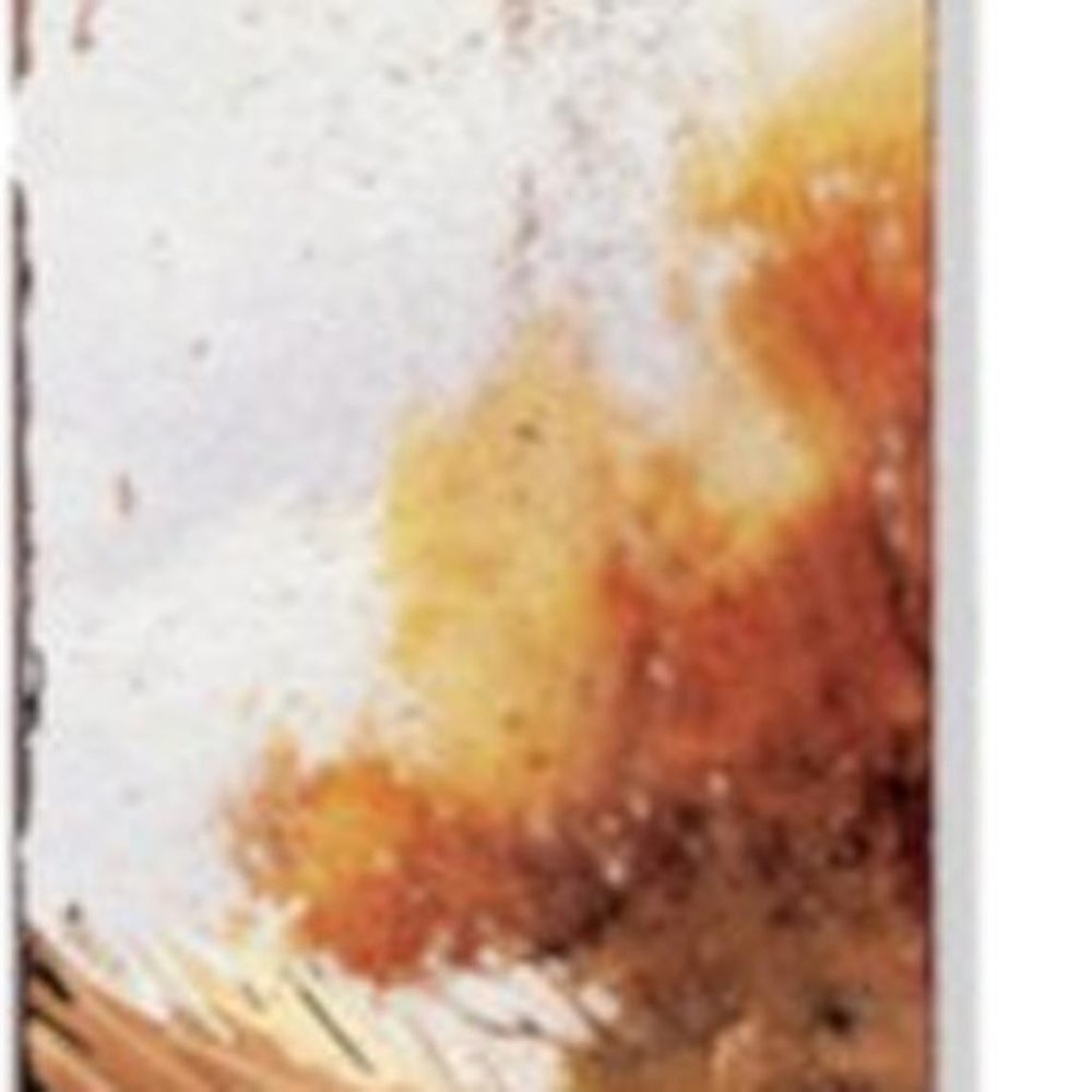 42" White And Brown Solid Wood Squirrels Garden Stake HomeRoots