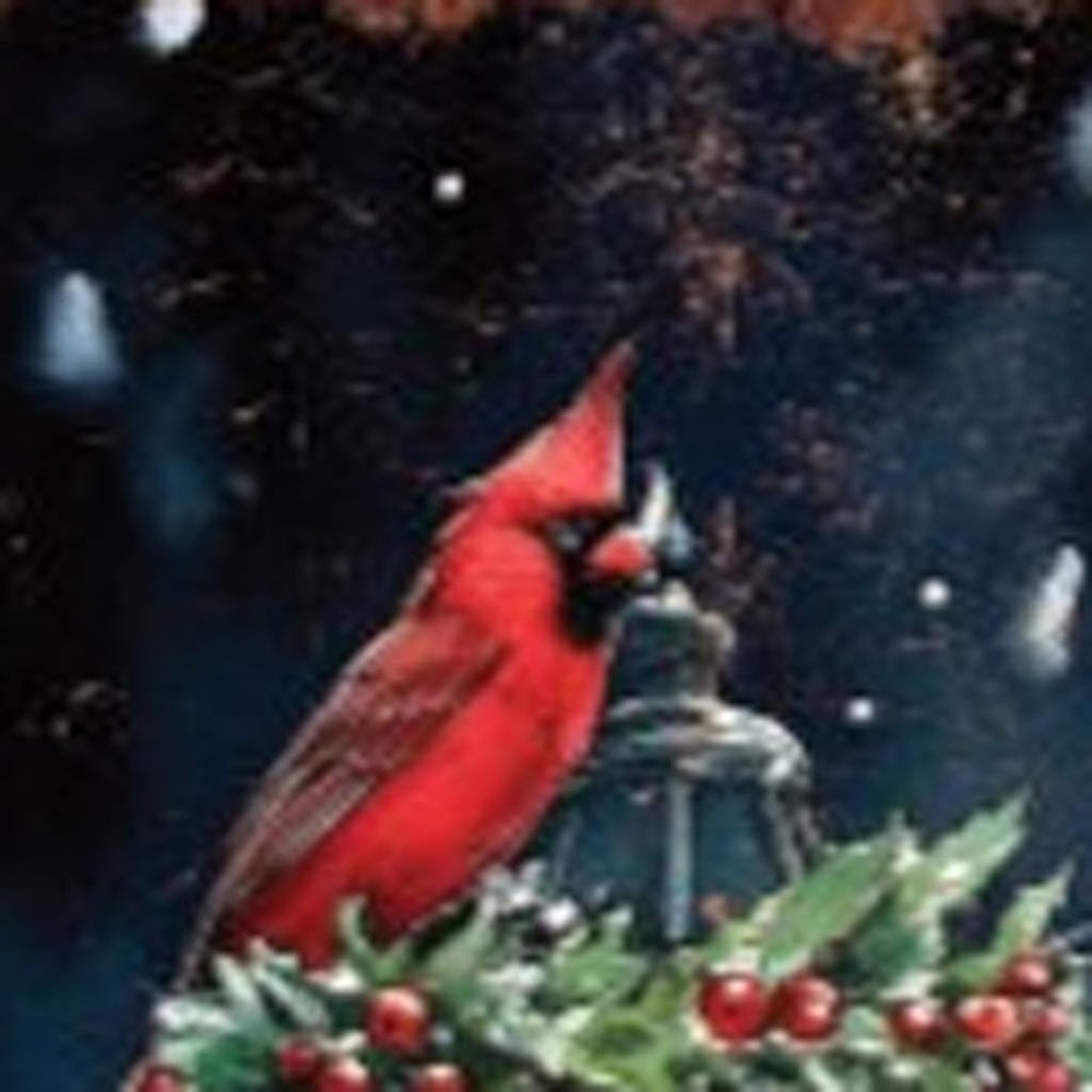 42" Black Brown Red And Green Welcome Christmas Solid Wood Birds Garden Stake HomeRoots