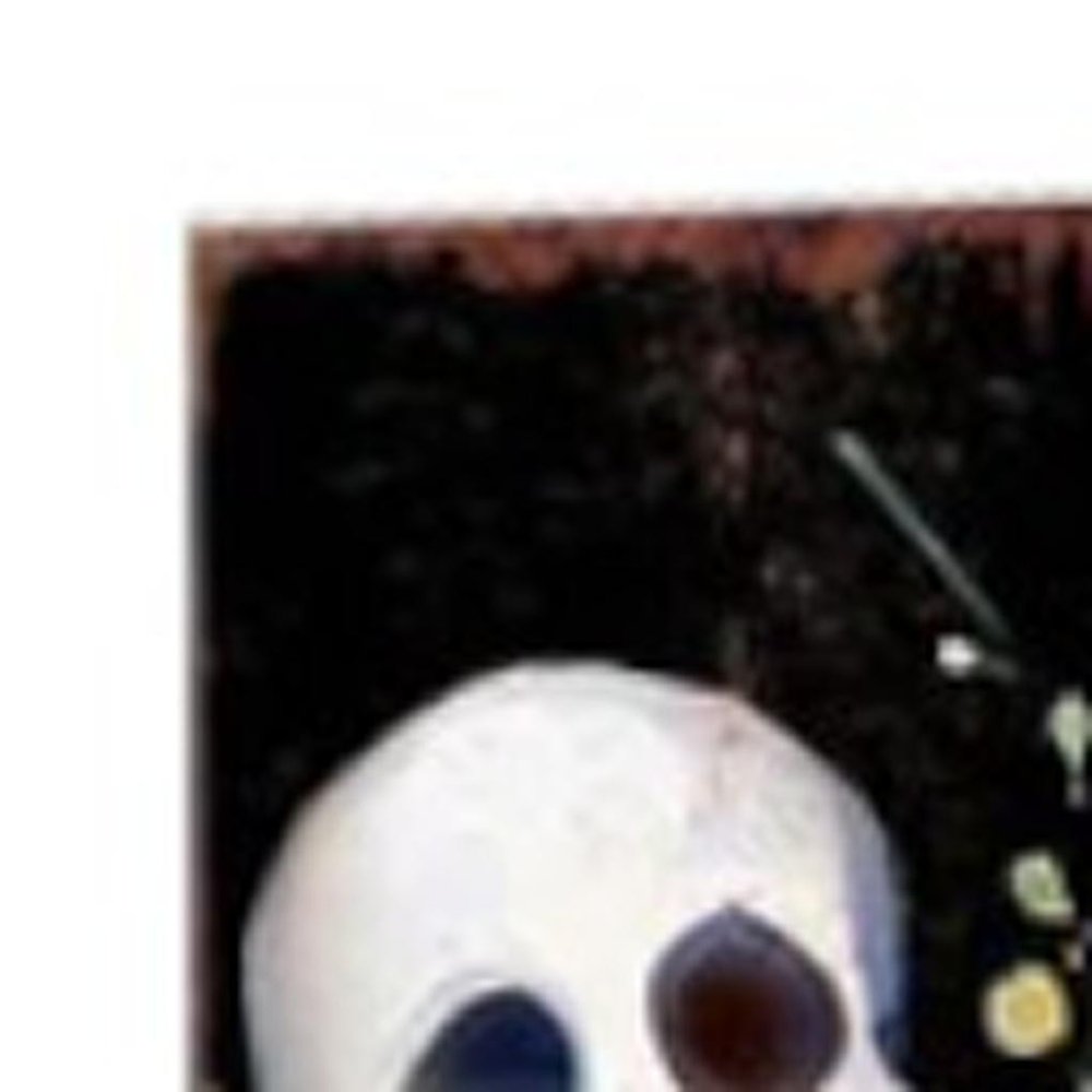 7" Black Orange And White Solid Wood Wildflowers Halloween Skeleton Garden Stake HomeRoots