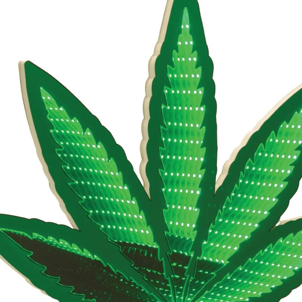 18" Green Acrylic Leaf Tabletop Sign with LED HomeRoots
