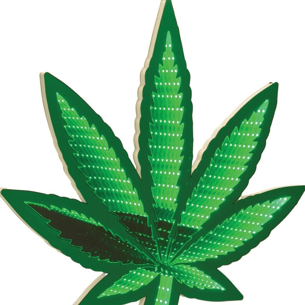 18" Green Acrylic Leaf Tabletop Sign with LED HomeRoots